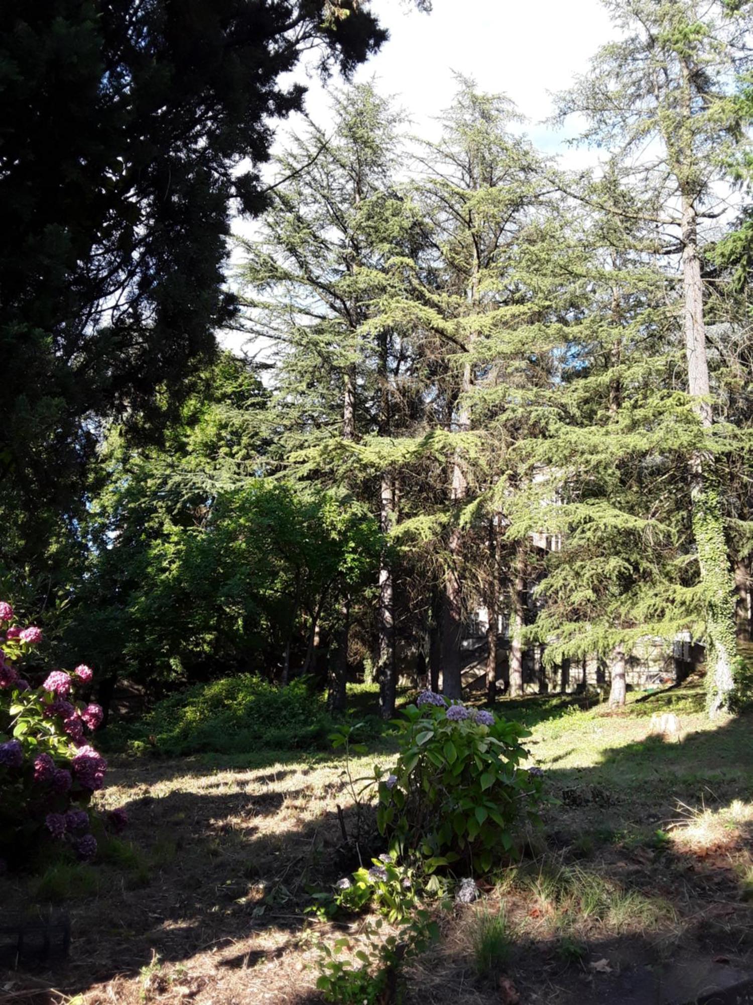 Gite Du Vigneron A La Terrasse Piscine Local Velos Tournon-sur-Rhone Εξωτερικό φωτογραφία